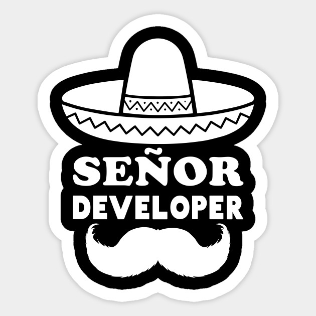 senior developer